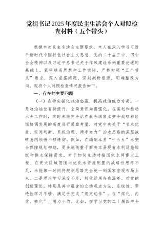 党组书记2025年度民主生活会个人对照检查材料（五个带头）