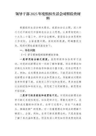 领导干部2025年度组织生活会对照检查材料