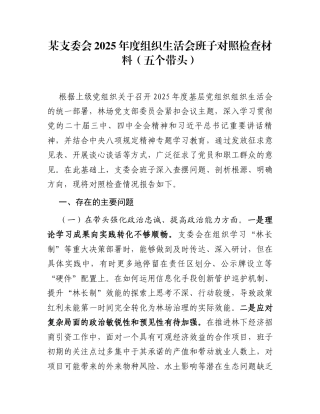 某支委会2025年度组织生活会班子对照检查材料(五个带头)