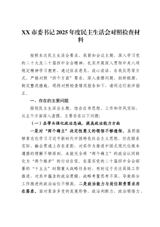 市委书记2025年度民主生活会对照检查材料