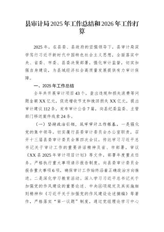 县审计局2025年工作总结和2026年工作打算