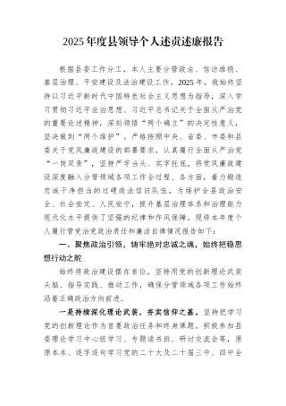 2025年度县领导个人述责述廉报告
