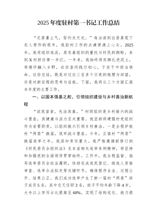2025年度驻村第一书记工作总结