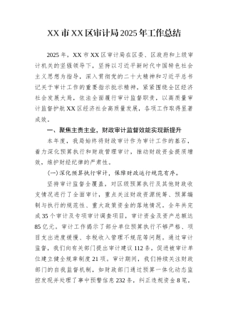 XX市XX区审计局2025年工作总结