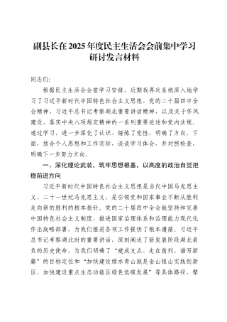 副县长在2025年度民主生活会会前集中学习研讨发言材料.
