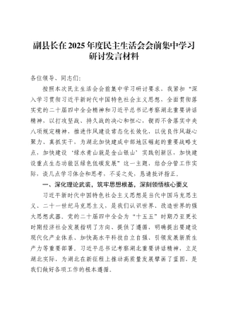 副县长在2025年度民主生活会会前集中学习研讨发言材料