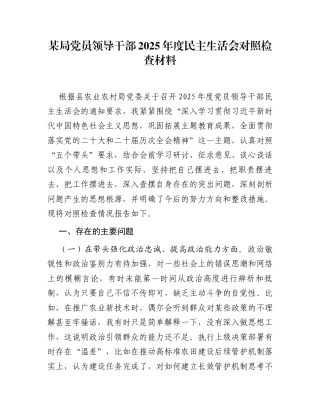 某局党员领导干部2025年度民主生活会对照检查材料