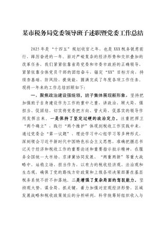 某市税务局党委领导班子述职暨党委工作总结