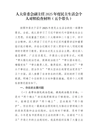 人大常委会副主任2025年度民主生活会个人对照检查材料（五个带头）
