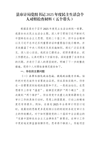 县审计局党组书记2025年度民主生活会个人对照检查材料（五个带头）