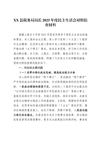 县税务局局长2025年度民主生活会对照检查材料