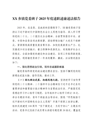 乡镇党委班子2025年度述职述廉述法报告