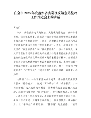 在全市2025年度落实省委巡视反馈意见整改工作推进会上的讲话
