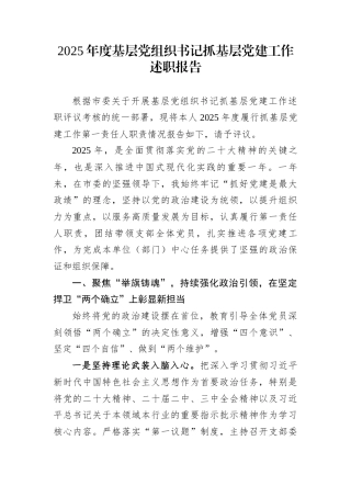 2025年度基层党组织书记抓基层党建工作述职报告