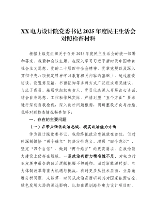 X电力设计院党委书记2025年度民主生活会对照检查材料