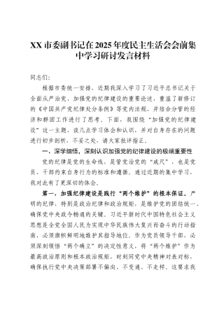 X市委副书记在2025年度民主生活会会前集中学习研讨发言材料.