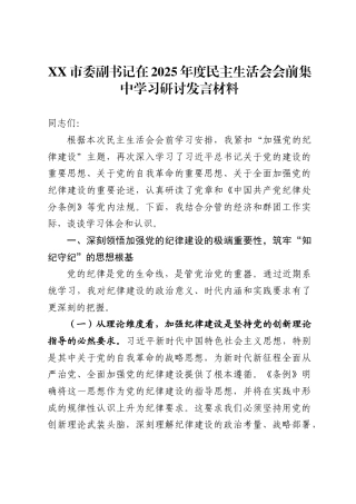 X市委副书记在2025年度民主生活会会前集中学习研讨发言材料