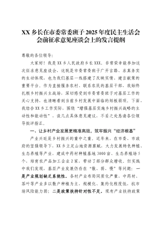 X乡长在市委常委班子2025年度民主生活会会前征求意见座谈会上的发言提纲.