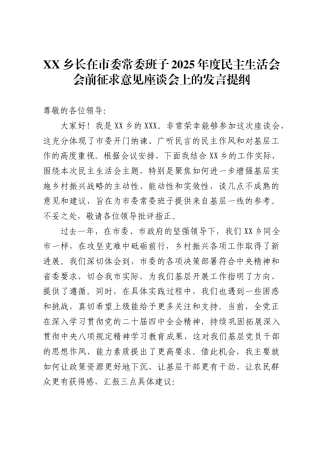 X乡长在市委常委班子2025年度民主生活会会前征求意见座谈会上的发言提纲