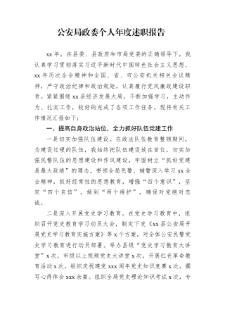 公安局政委个人年度述职报告