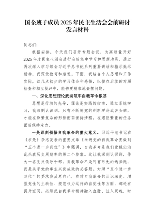 国企班子成员2025年民主生活会会前研讨发言材料