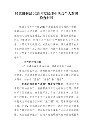 局党组书记2025年度民主生活会个人对照检查材料