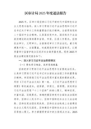区审计局2025年度述法报告