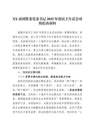 市国资委党委书记2025年度民主生活会对照检查材料