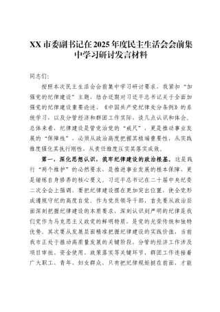 市委副书记在2025年度民主生活会会前集中学习研讨发言材料