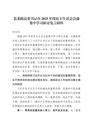 县委政法委书记在2025年度民主生活会会前集中学习研讨发言材料.