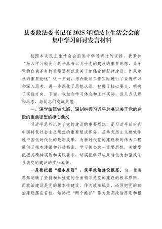 县委政法委书记在2025年度民主生活会会前集中学习研讨发言材料