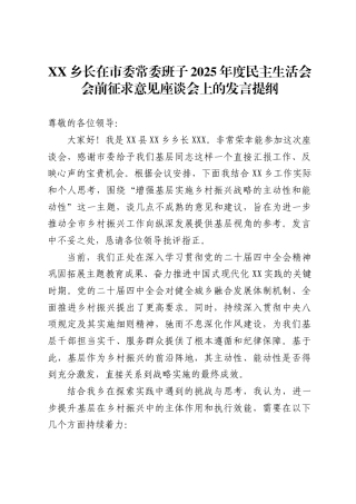 乡长在市委常委班子2025年度民主生活会会前征求意见座谈会上的发言提纲