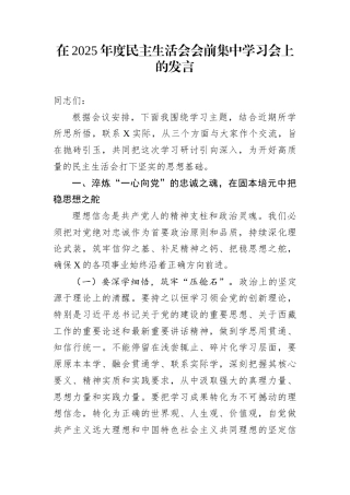 在2025年度民主生活会会前集中学习会上的发言