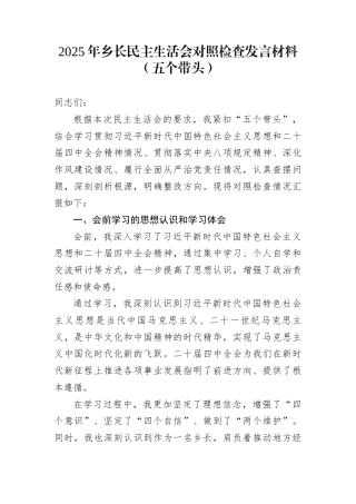 2025年乡长民主生活会对照检查发言材料（五个带头）