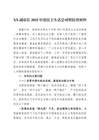 X副市长2025年度民主生活会对照检查材料