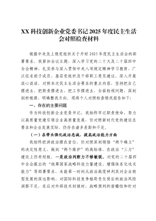 X科技创新企业党委书记2025年度民主生活会对照检查材料