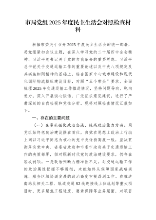 市局党组2025年度民主生活会对照检查材料