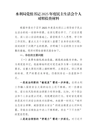 水利局党组书记2025年度民主生活会个人对照检查材料