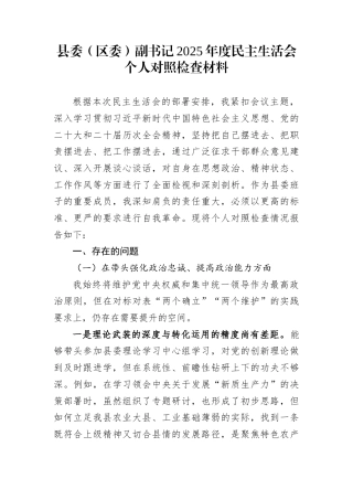 县委（区委）副书记2025年度民主生活会个人对照检查材料