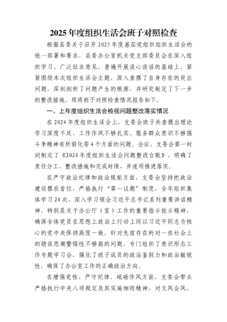2025年度组织生活会班子对照检查