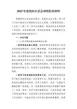 2025年度组织生活会对照检查材料 (1)