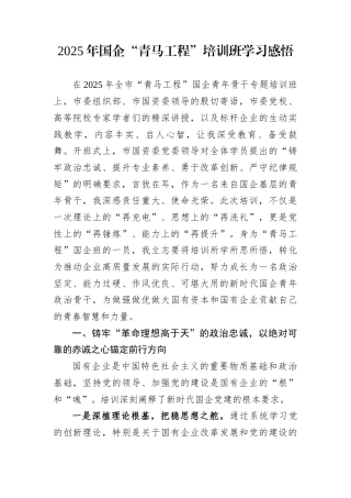 2025年国企“青马工程”培训班学习感悟