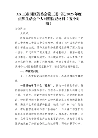 XX工业园区管委会党工委书记2025年度组织生活会个人对照检查材料(五个对照)