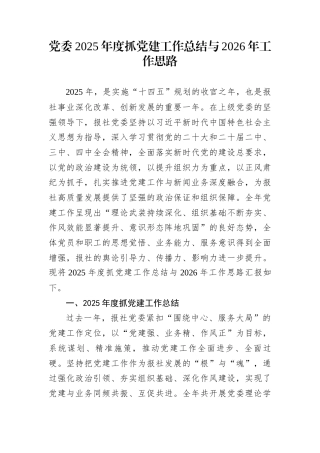 党委2025年度抓党建工作总结与2026年工作思路