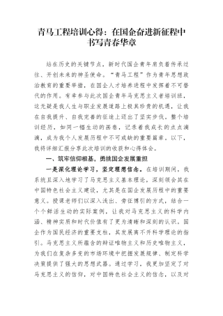 青马工程培训心得：在国企奋进新征程中书写青春华章