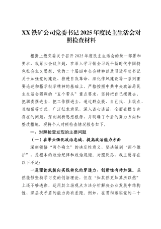 铁矿公司党委书记2025年度民主生活会对照检查材料