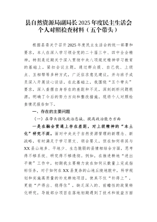 县自然资源局副局长2025年度民主生活会个人对照检查材料（五个带头）