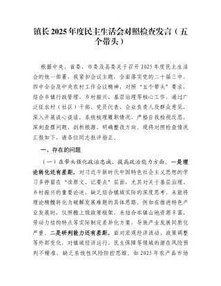 镇长2025年度民主生活会对照检查发言（五个带头）