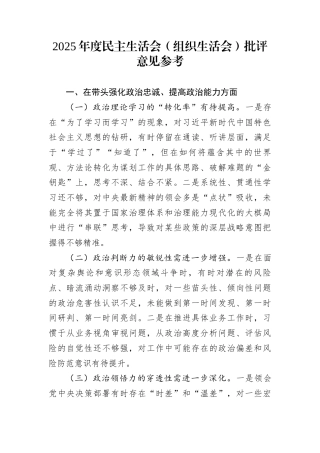 2025年度民主生活会（组织生活会）批评意见参考