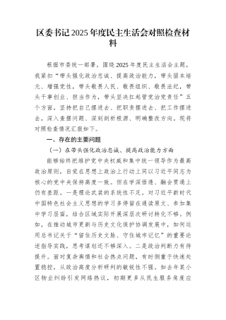 区委书记2025年度民主生活会对照检查材料1